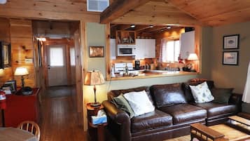 TV, fireplace, books