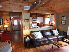 TV, fireplace, books