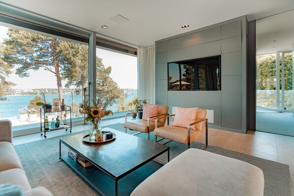 Smart TV, fireplace, video games, DVD player