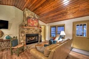 Smart TV, fireplace, books