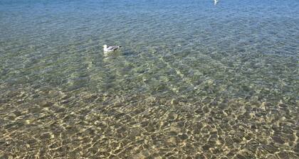 Kolmen huoneen huoneisto Via del Mare 4/6 vuodepaikkaa lähellä Procchion rantaa