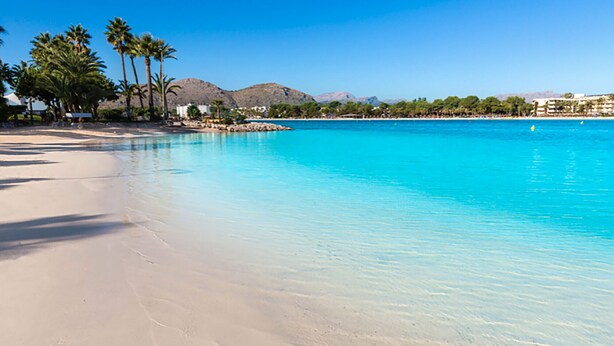 A beach with clear turquoise water, sandy shore, palm trees, and a mountainous backdrop. - Charming apartment on the beach with fantastic views in Puerto de Alcudia (Port d´Alcudia)