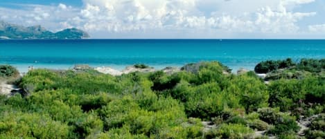 Playa en los alrededores