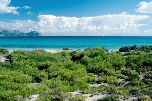 Vlak bij het strand