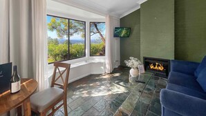 A living room with a fireplace, a television, and a view of the outdoors.