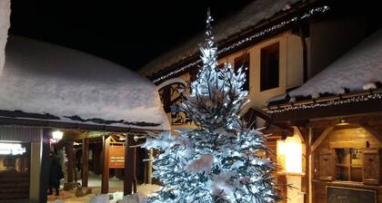 BELLE PLAGNE, cosy 2 pces, skis aux pieds / ménage et parking couvert inclus !!!