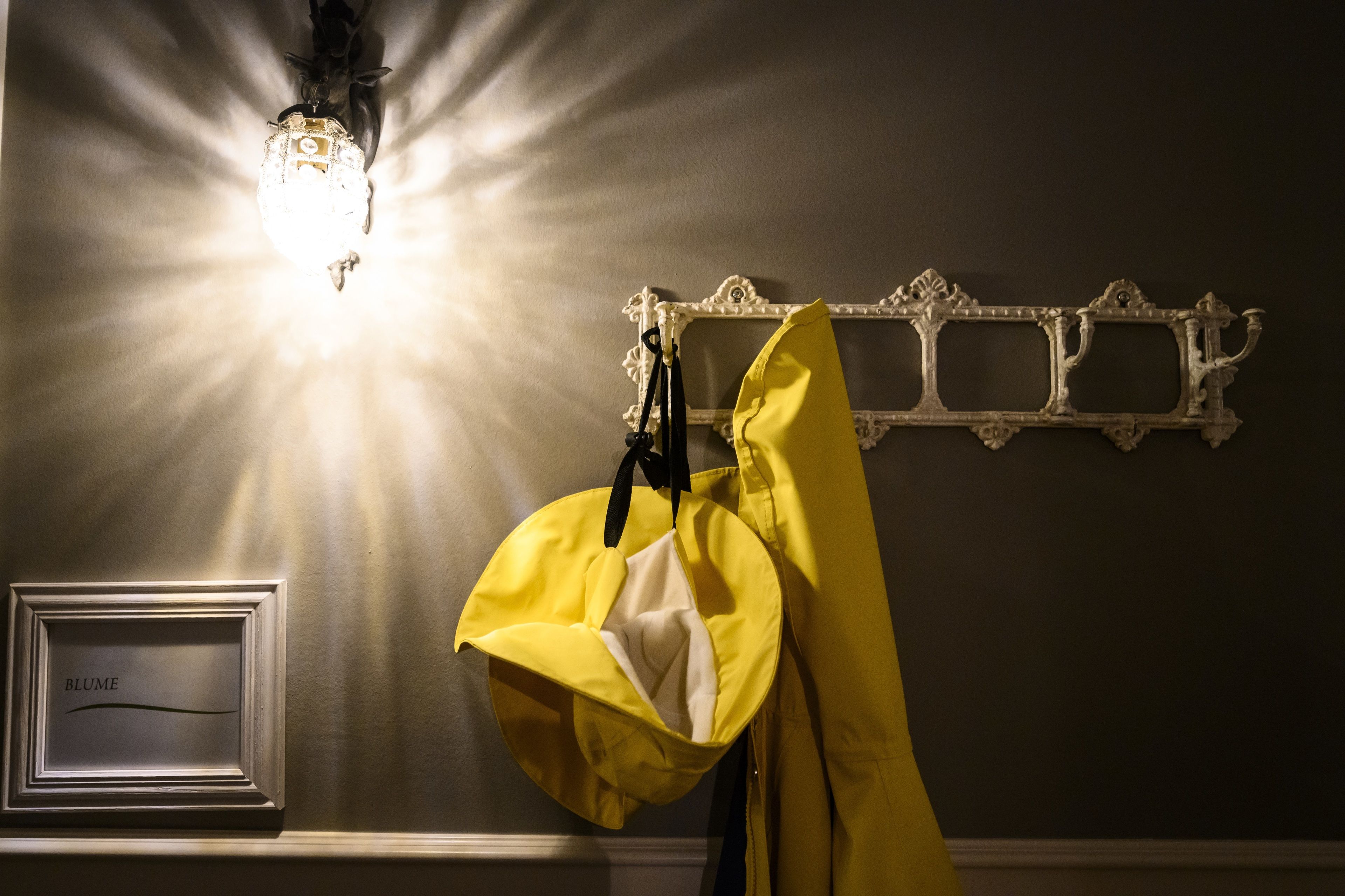 A wall with a light fixture, a coat rack, and a framed picture labeled "BLUME".