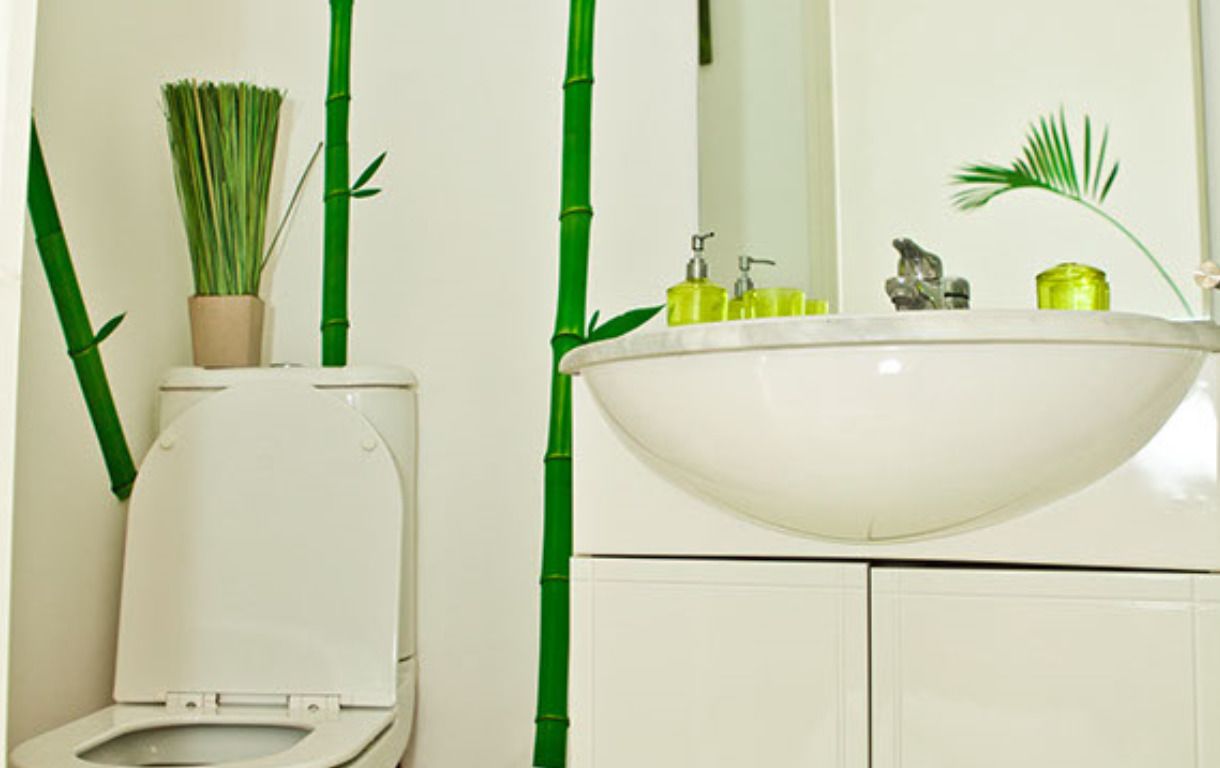 Ein Badezimmer mit Toilette, einer grünen Bambuspflanze, einem Waschbecken mit grüner Schale und einem Spiegel.