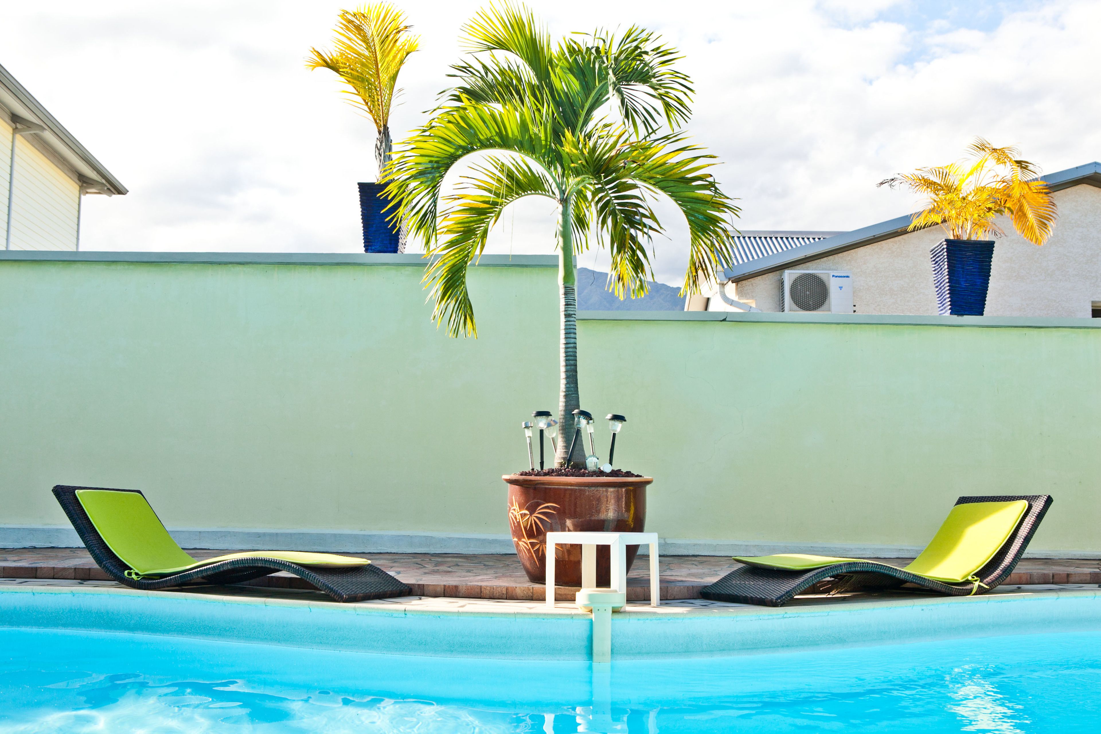 Un espace piscine avec deux chaises longues et un palmier.
