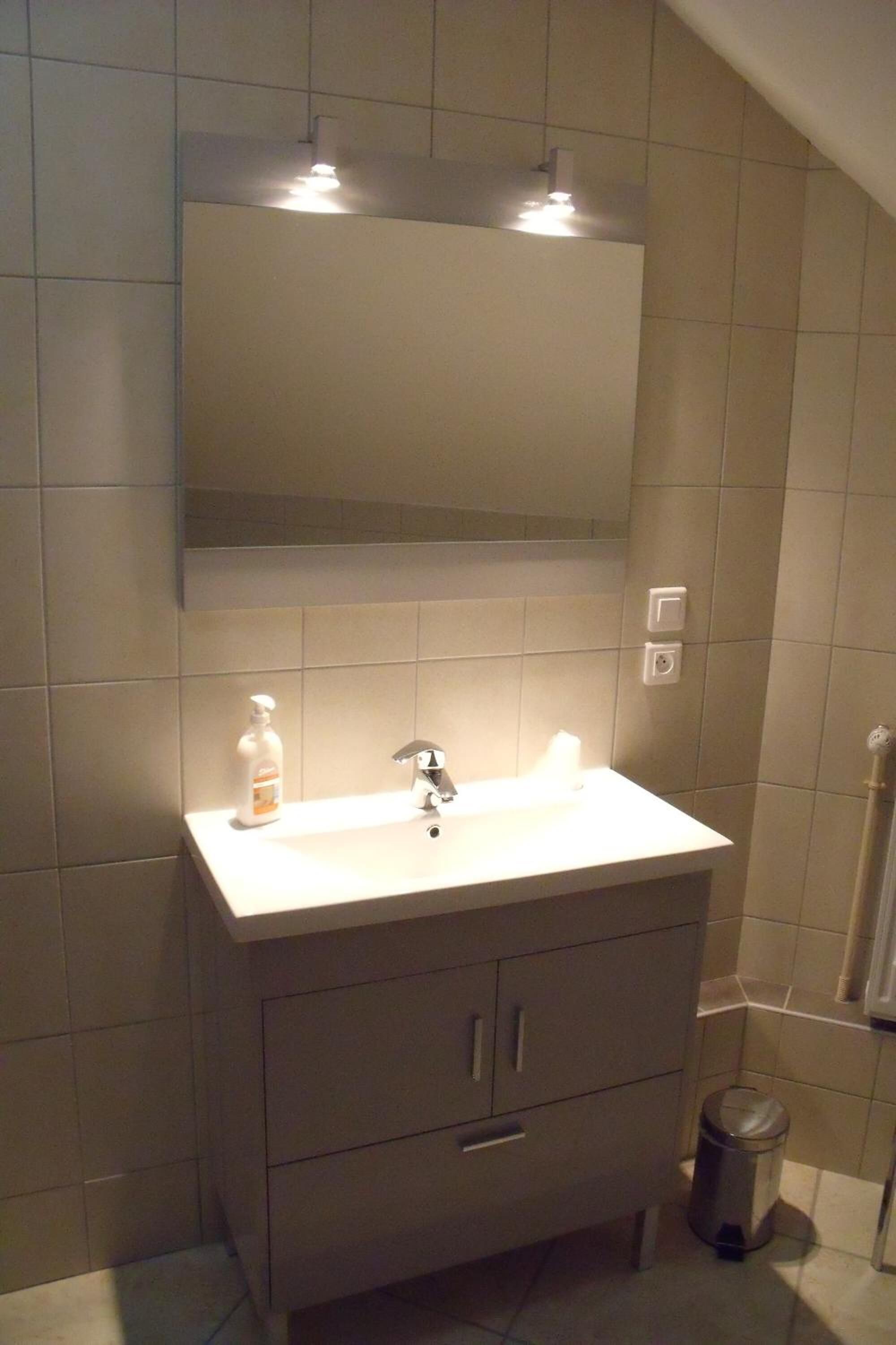 Un baño con lavamanos blanco, espejo y armarios. Hay un cubo de basura y una botella de jabón para manos sobre el lavamanos.