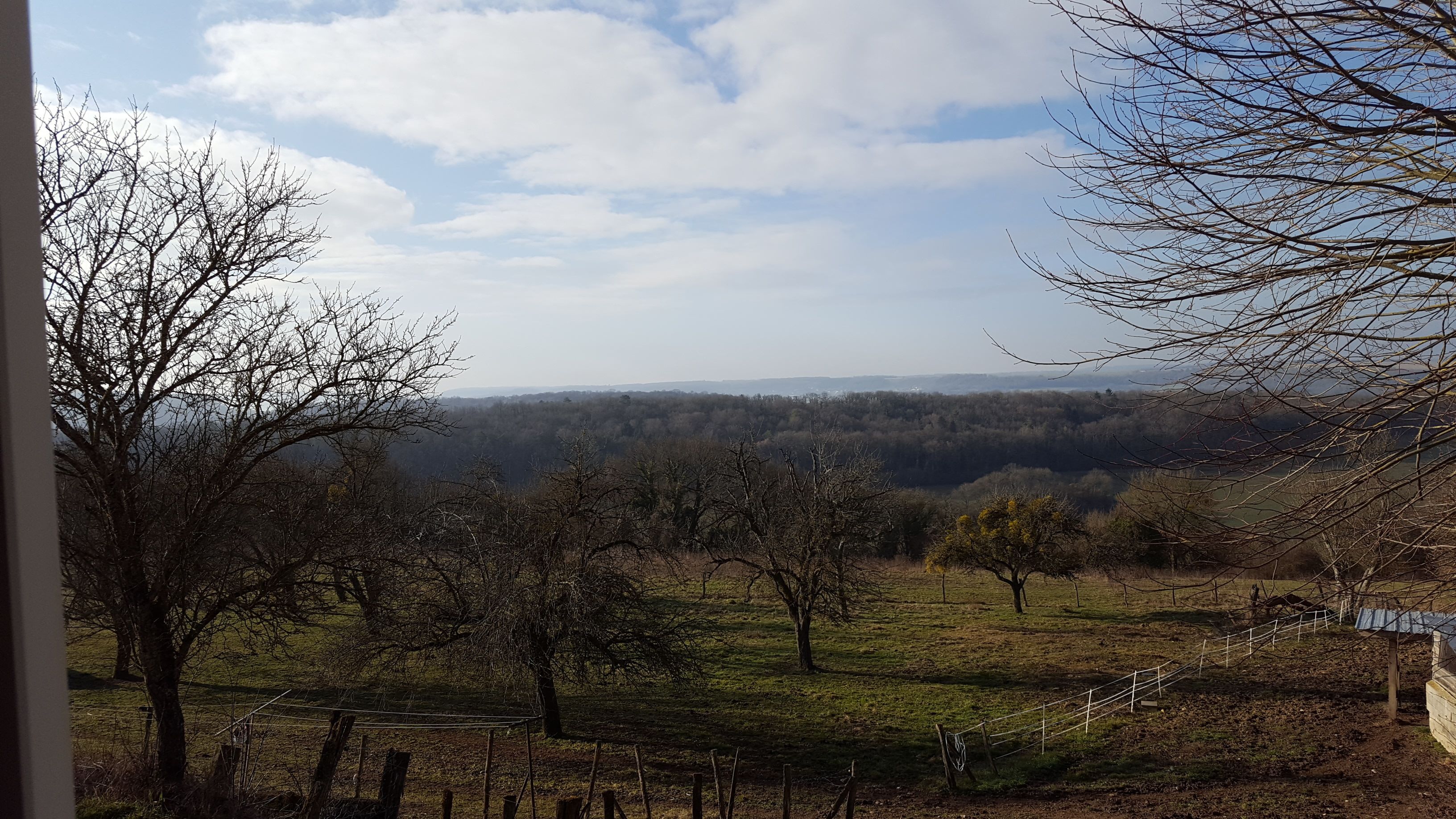 Paisaje rural con árboles, una cerca y una vista distante de colinas.
