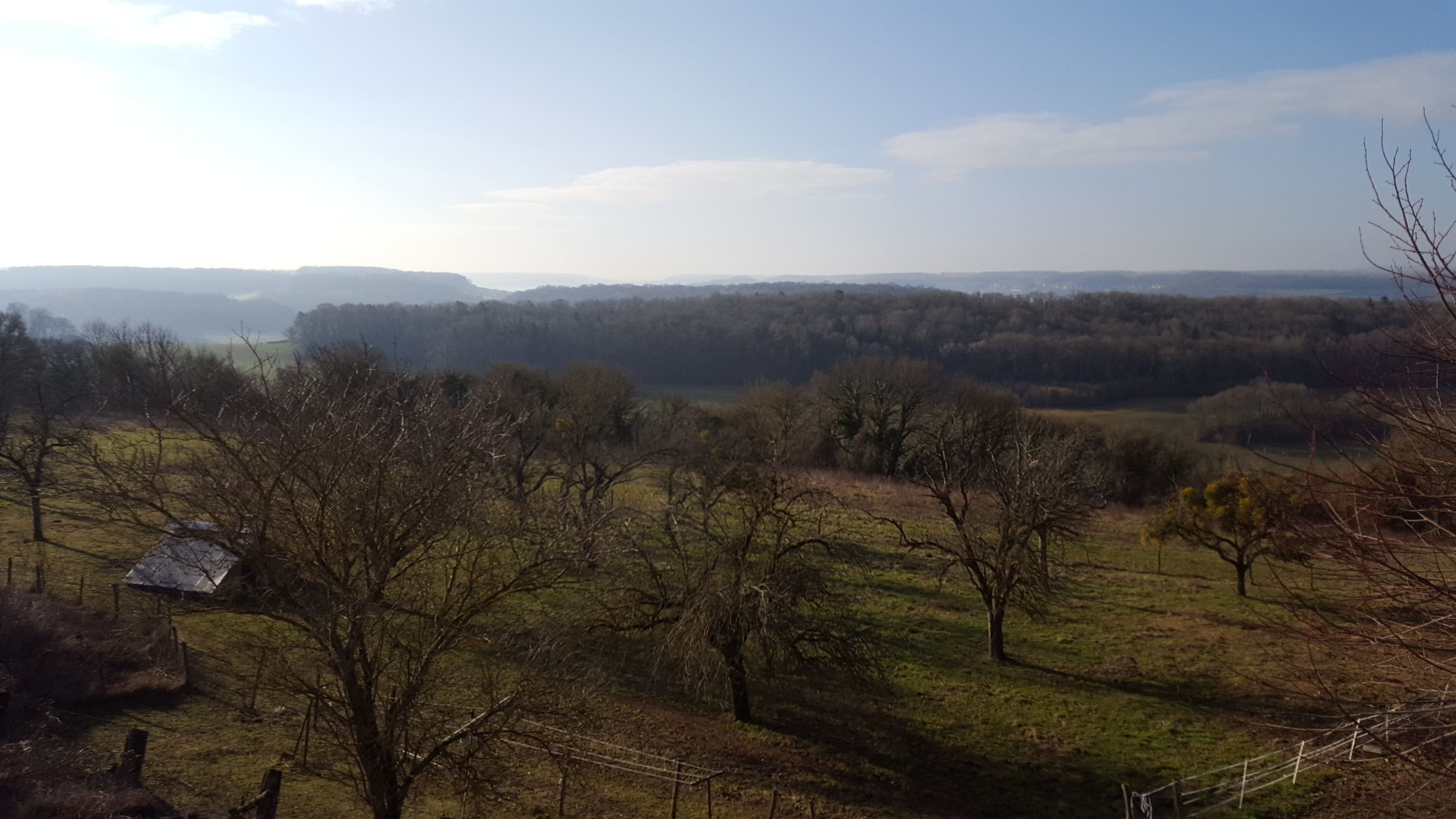 Un paysage rural avec des arbres, une clôture et un petit bâtiment.
