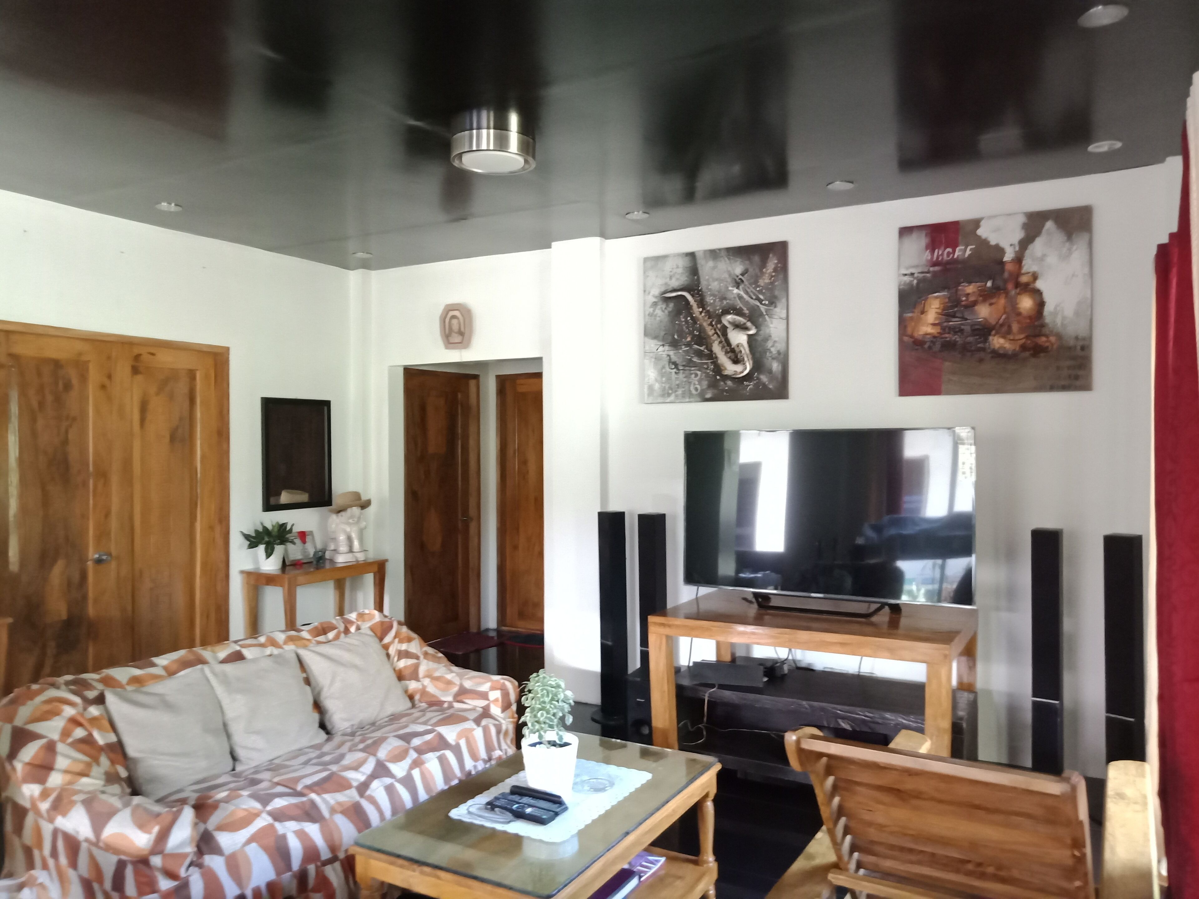 Televisión de pantalla plana, chimenea y reproductor de DVD 