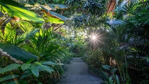 A pathway surrounded by lush greenery and a bright sun shining through the leaves. - 7BR Villa For Large Groups W/Pool Table, Canggu! 9Min Drive To Seminyak Square! (Canggu)