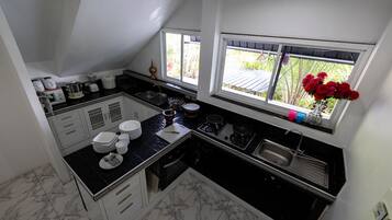 Fridge, microwave, oven, stovetop
