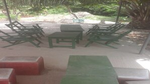 Espace extérieur aménagé avec des tables et des chaises vertes, un sol en béton et un décor naturel composé d’arbres.