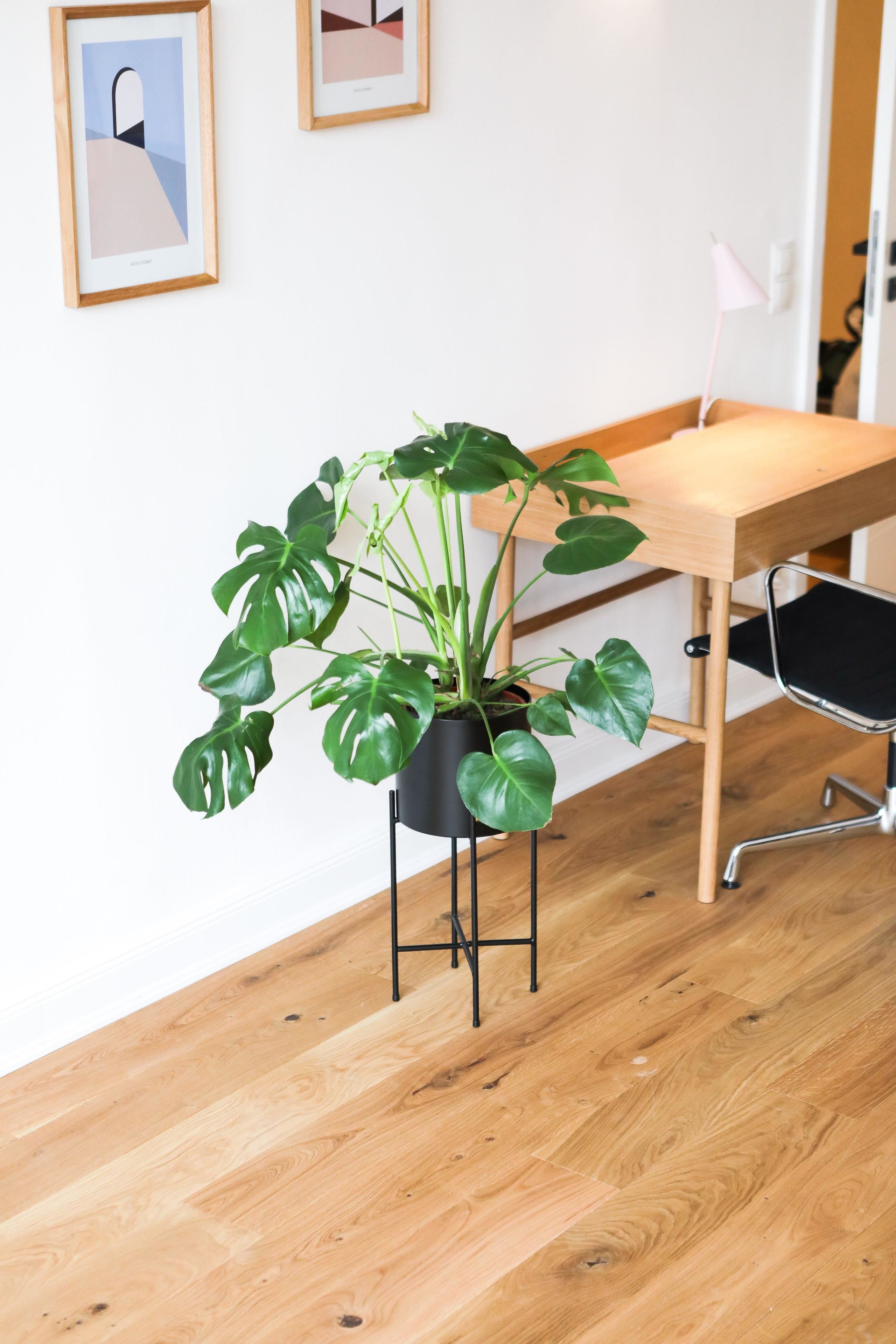 Luxury Apartment, 2 Bedrooms, Terrace, Ground Floor (Inner City)