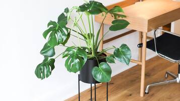 Luxury Apartment, 2 Bedrooms, Terrace, Ground Floor (Inner City)