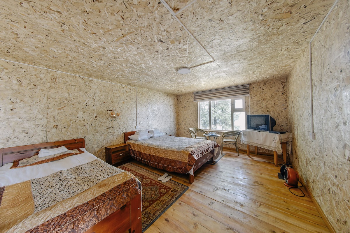 Une chambre avec deux lits, une petite table, un téléviseur et une fenêtre.