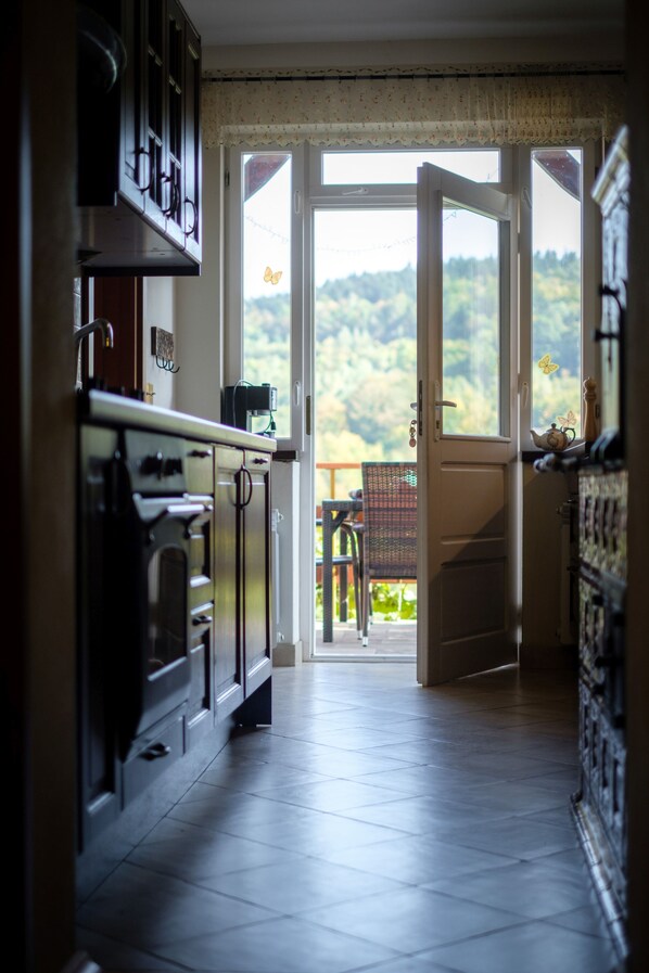 Televisión de 25 pulgadas con canales vía satélite y chimenea