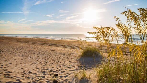 Ein Strand mit Sand, Gras und dem Meer.