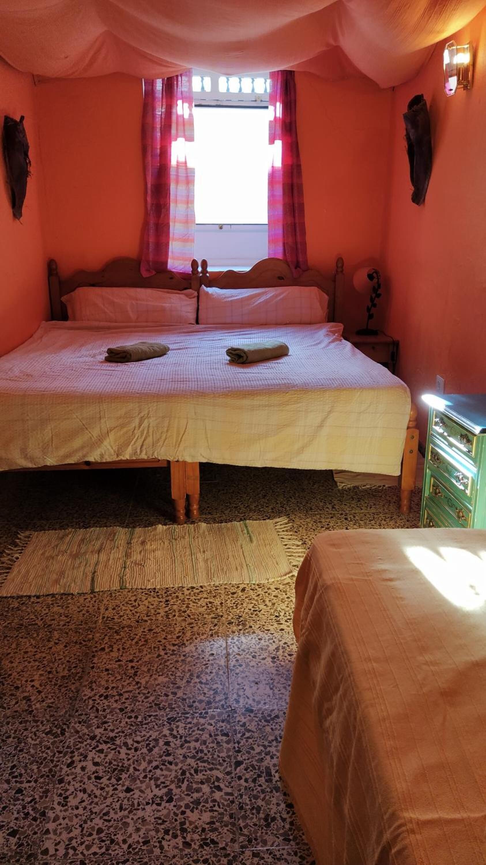 Photo - Hostel Tenerife