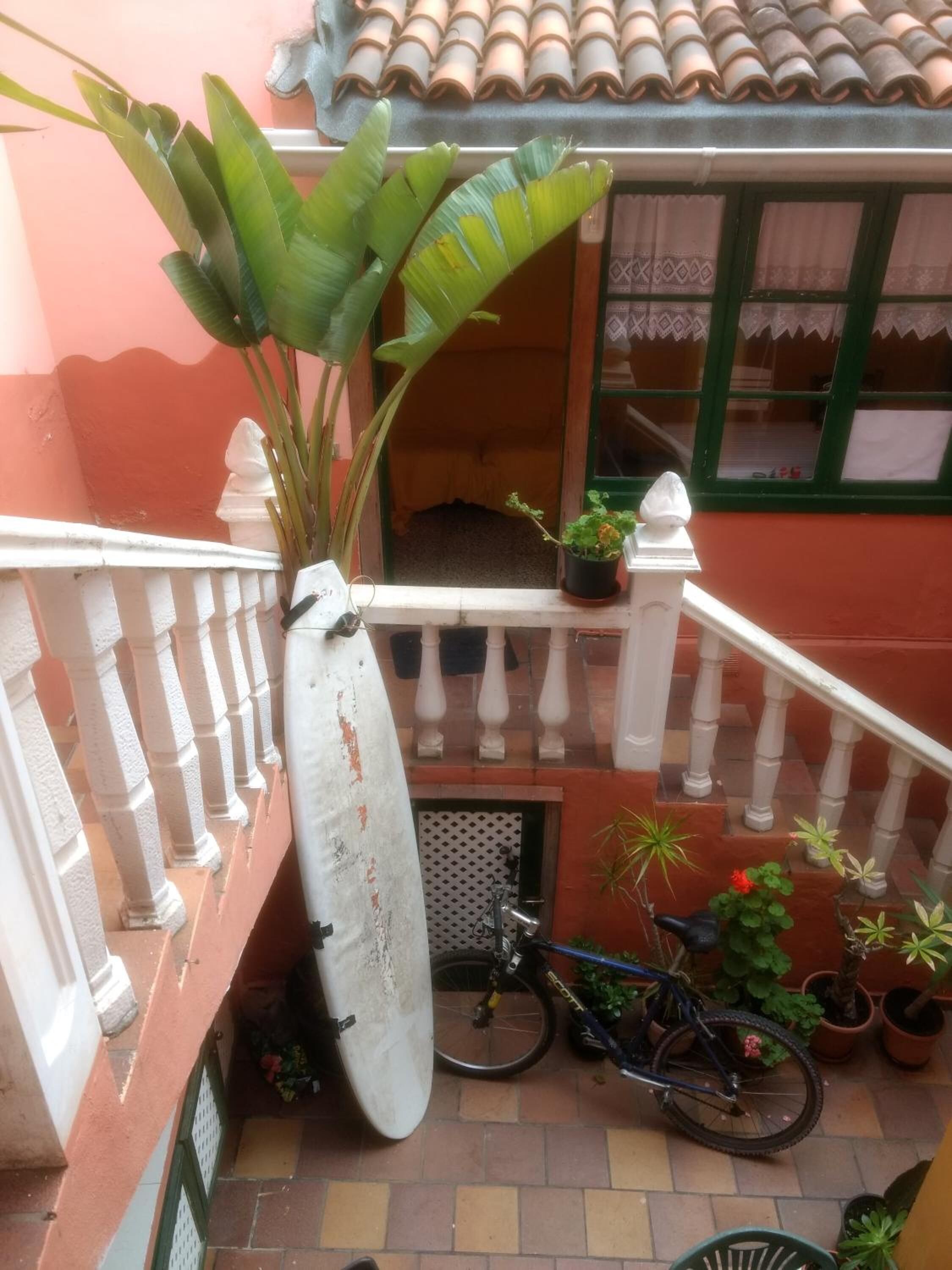 Un balcon agrémenté d’une planche de surf, d’un vélo et de plantes en pot.