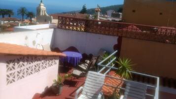 A rooftop terrace with lounge chairs, a table, and potted plants.