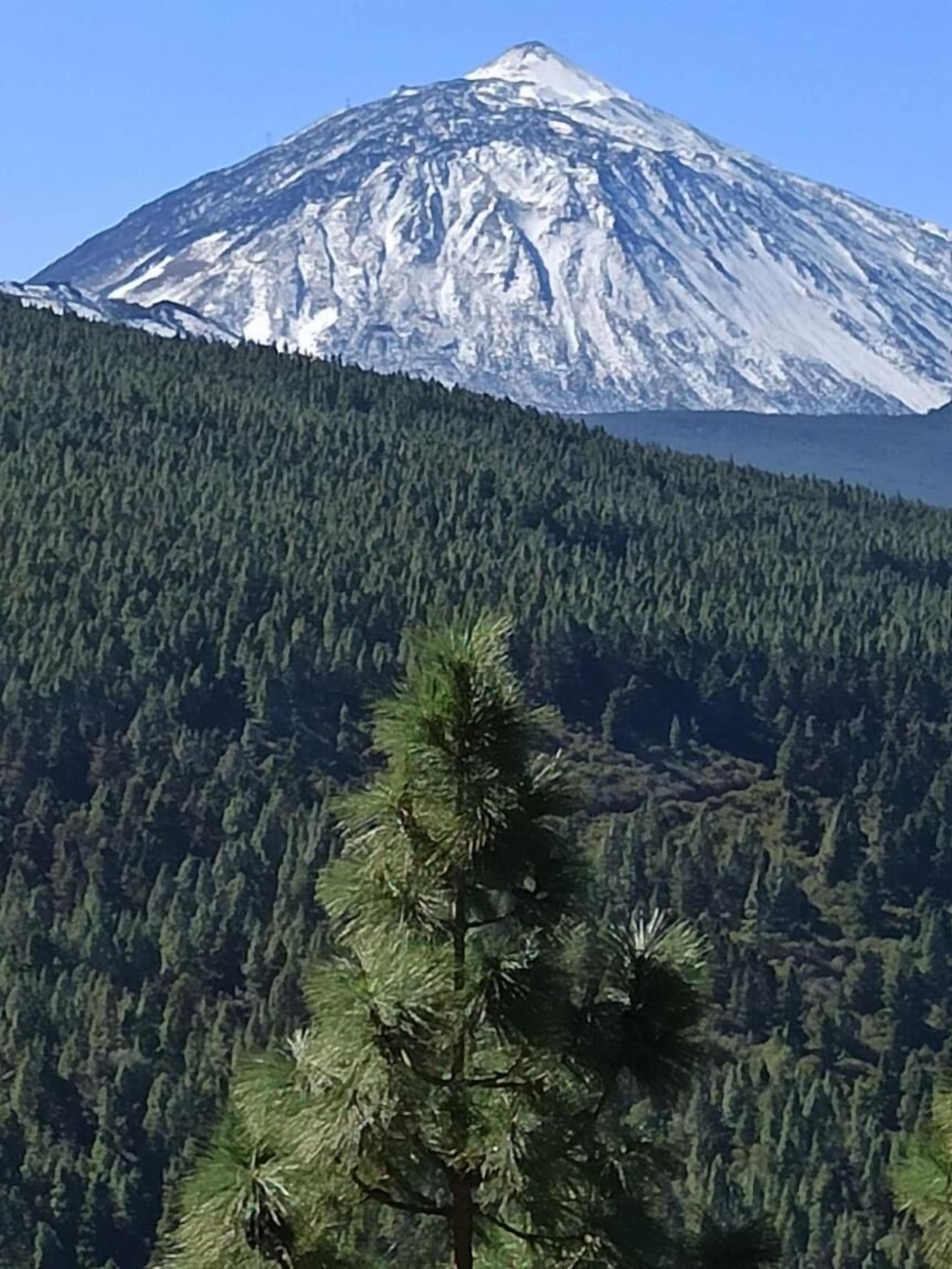 Photo - Hostel Tenerife