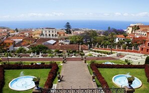 Property grounds - Hostel Tenerife (La Orotava)