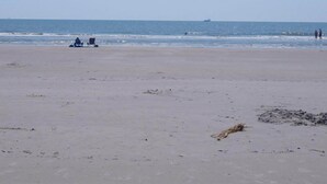 A wide beach with a clear sky.