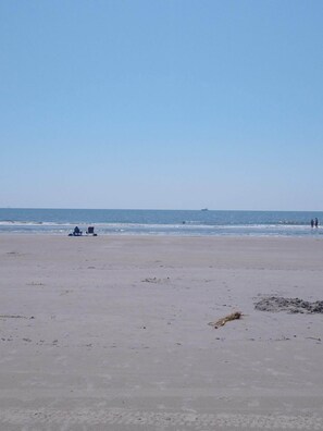 Playa en los alrededores 