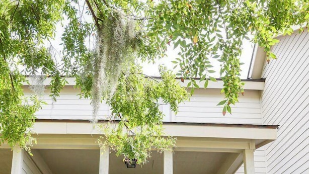 A wooden staircase leading to a front door of a house with a porch, surrounded by greenery and mulch.