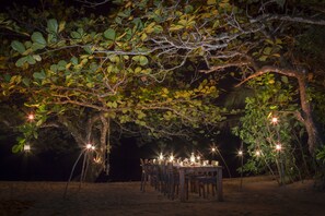 An outdoor dining setup with tables and chairs under a tree, surrounded by foliage.