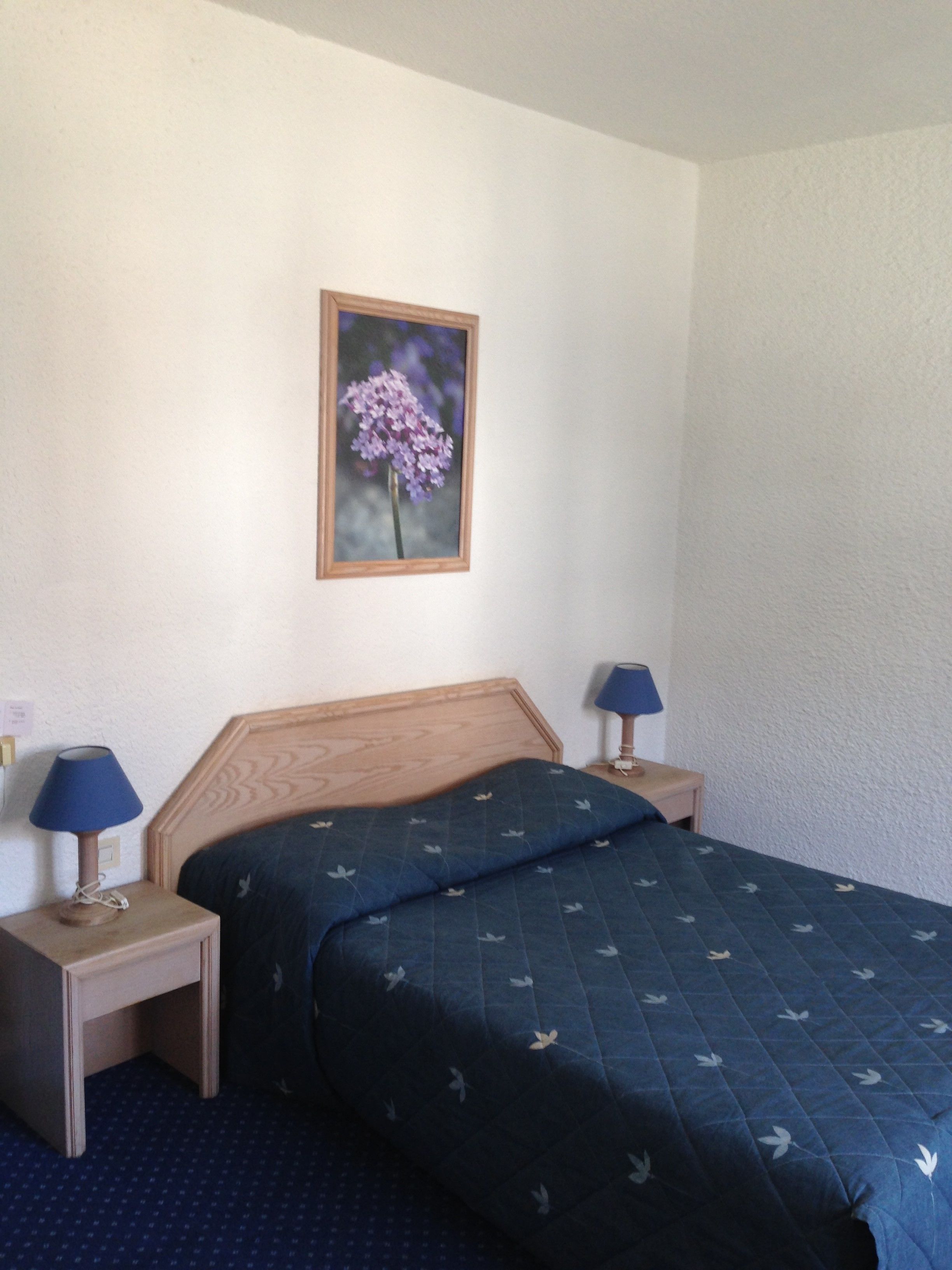 standard room, non smoking, city view | premium bedding, individually decorated, individually furnished, desk