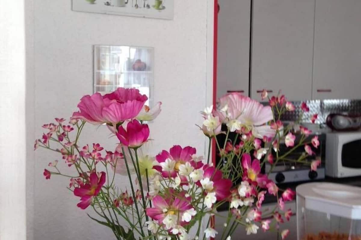 daily continental breakfast (eur 10 per person)