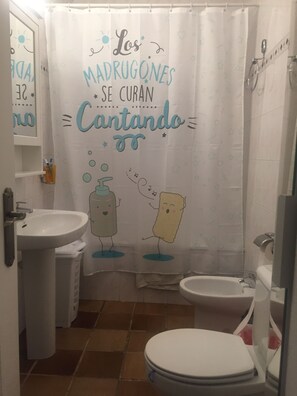 Combined shower/bathtub, hair dryer, bidet, towels