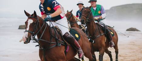 A group of people riding horses on a beach.