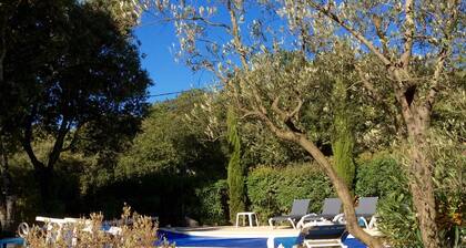 Saint Siffret-Uzes: Splendide maison avec piscine et 25 ares de jardin