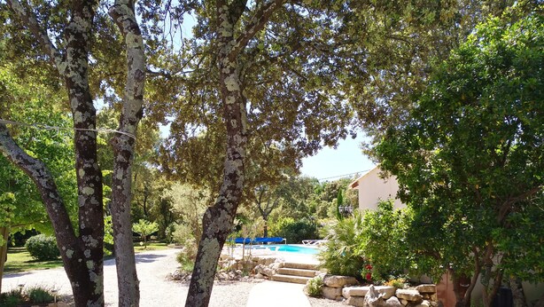A pathway leading to a pool area surrounded by trees and rocks.