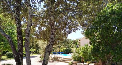 Saint Siffret-Uzes: Splendide maison avec piscine et 25 ares de jardin