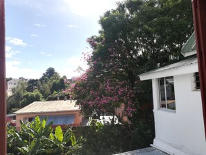 Ein Haus mit einem blühenden rosa Baum im Vordergrund und einem weißen Gebäude zur Rechten.