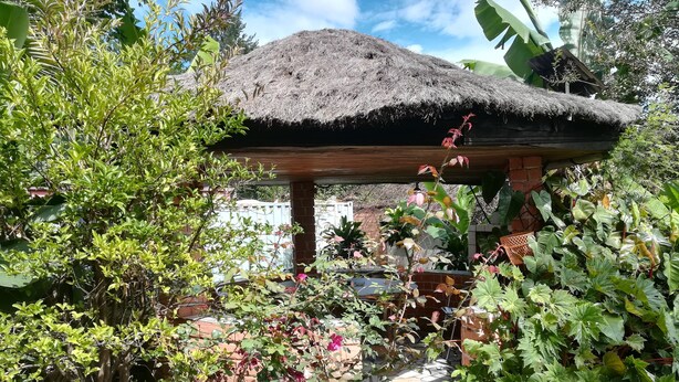 Edifici amb teulada de palla en un jardí exuberant, ple de plantes diverses i un pati enrajolat.