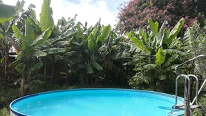 Una piscina rodona sobre el terreny amb interior blau, envoltada de vegetació exuberant i plataners.