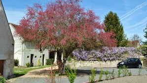 Unclassified image, 3 of 29, button - Le Tulipier de Virginie (Noyers-sur-Cher)