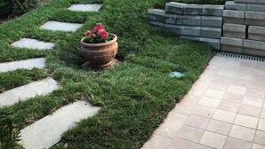 Garden - Villa Fulvia B&b (Diano d'Alba)