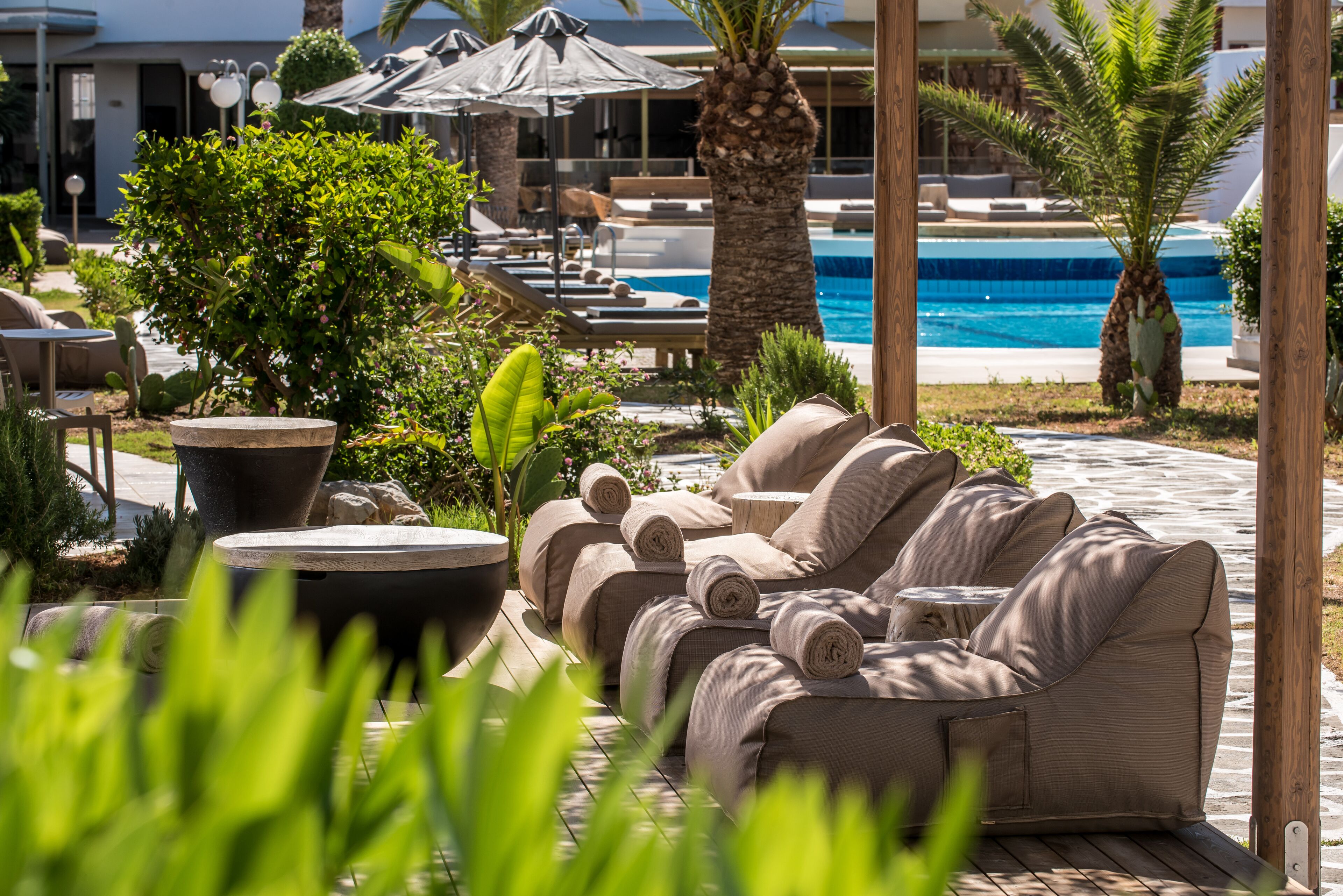 Un espace de détente extérieur avec une piscine, des chaises longues et des palmiers.