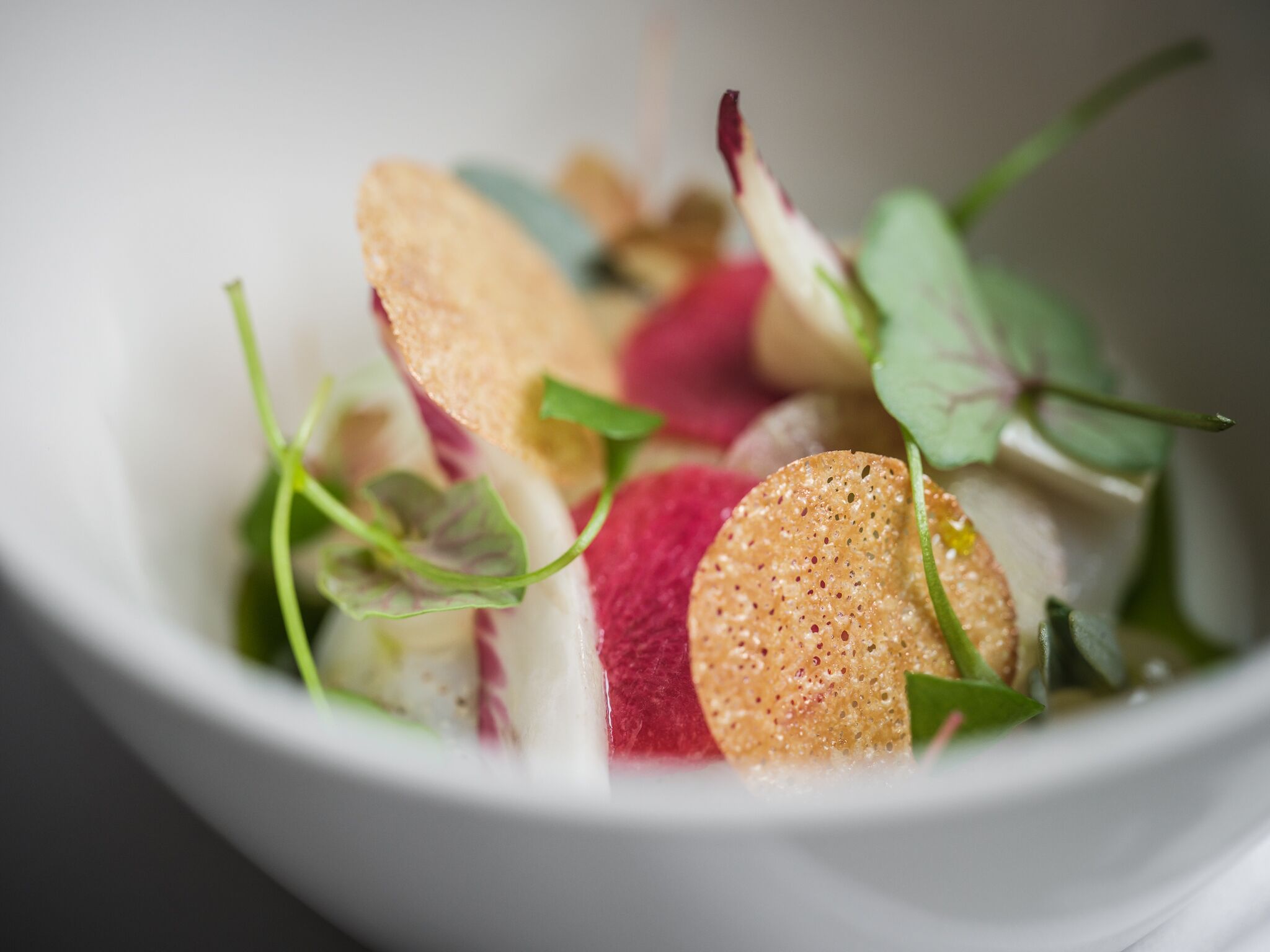 A bowl of salad with various vegetables and a cracker.