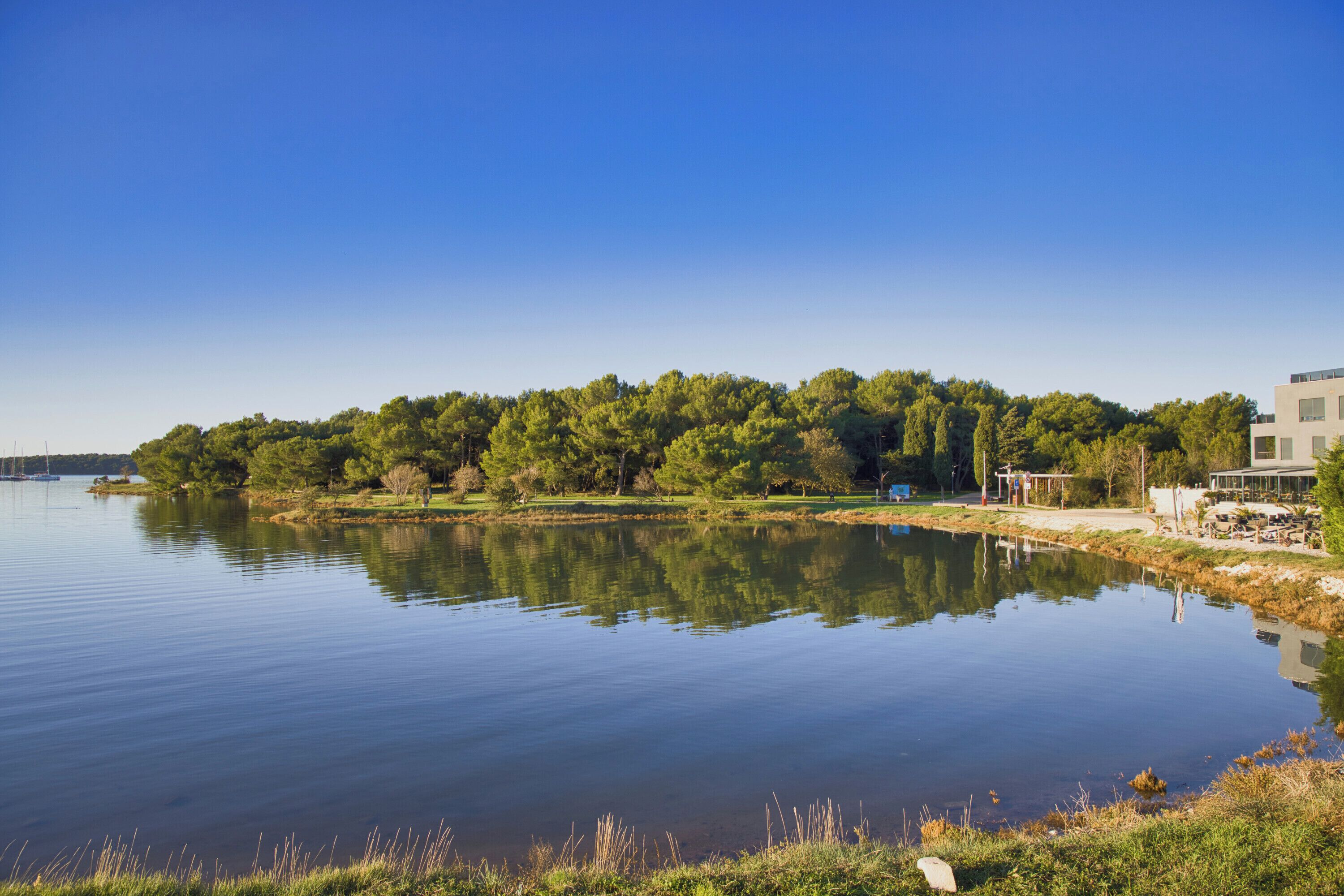 A calm lake with a forested island, a small dock, and a building with a glass facade.