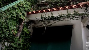 Un bâtiment dont une partie d’une fenêtre est recouverte de lierre.